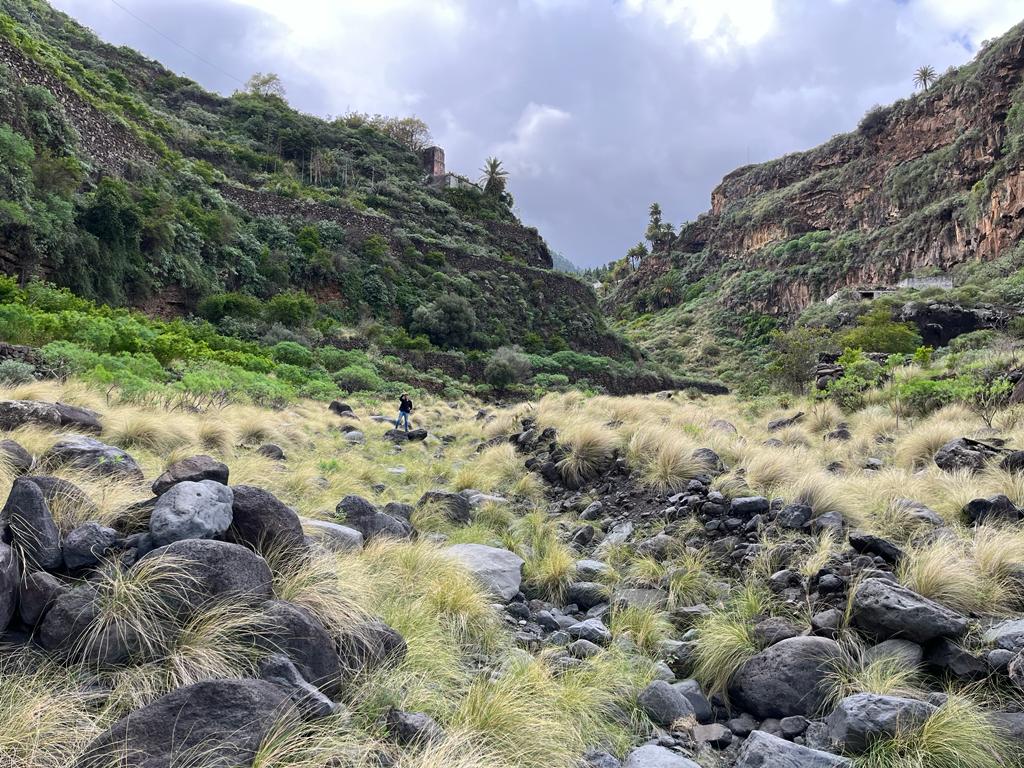 FINCA RUSTICA LAS GOTERAS-BARRANCO DEL RÍO S/N - EL ROQUE