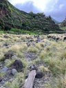 FINCA RUSTICA LAS GOTERAS-BARRANCO DEL RÍO S/N - EL ROQUE